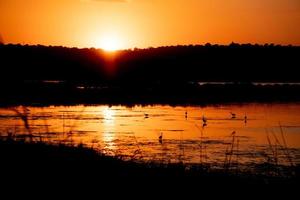 Vendicari Saline bird reserve at sunset photo