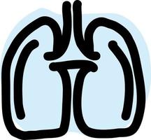 Human lungs anatomy. vector