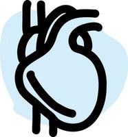 anatomía del corazón humano. vector