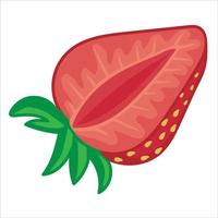 Hand-drawn half of ripe strawberry vector