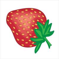 Hand-drawn ripe strawberry vector