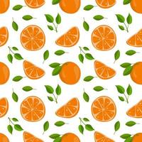 Orange citrus seamless pattern vector