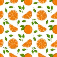 Orange citrus seamless pattern vector