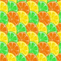Seamless pattern from citrus slices vector