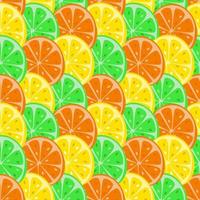 Seamless pattern from citrus slices vector