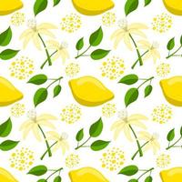 Lemon citrus seamless pattern vector