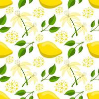 Lemon citrus seamless pattern vector