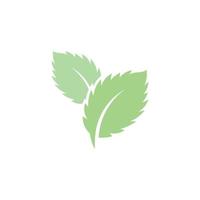 Mint leaves flat vector icon