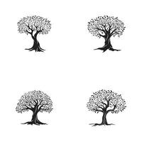 Olive tree vector illustration