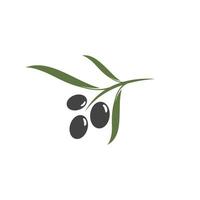 olive icon vector illustration