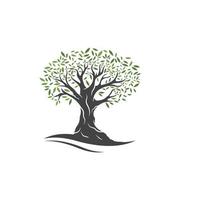 Olive tree vector illustration