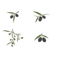 olive icon vector illustration