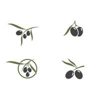 olive icon vector illustration