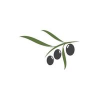 Olive tree vector illustration