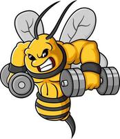 cartoon strong bee exercise with dumbbells vector