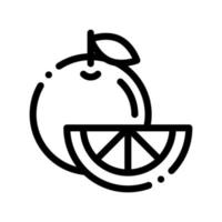 comida sana fruta naranja vector icono de línea delgada