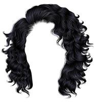 long curly hairs  brunette black  dark colors  .  beauty fashion style . wig . vector
