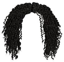trendy curly disheveled african black  hair  . vector