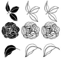 Cute rose flower vector