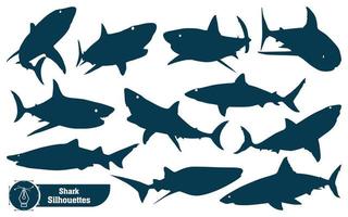 Vector collection of animal shark silhouette in different poses