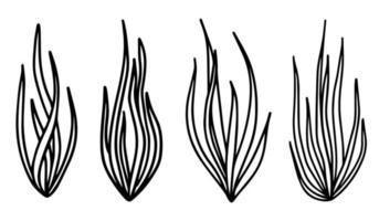conjunto de líneas de arte de la línea de hierbas de plantas para el diseño decorativo. vector