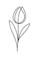 Tulip drawing in single continuous line art style. Hand drawn contour vector illustration of spring flower.