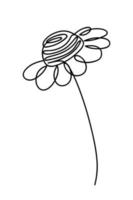 Chamomile drawing in single continuous line art style. Hand drawn contour vector illustration of spring flower.