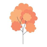 árbol de color naranja, sobre fondo blanco vector