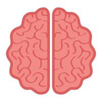 neurología, cerebro humano sobre fondo blanco vector