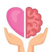 manos sosteniendo medio cerebro y corazón, conflicto entre emociones y pensamiento racional vector