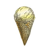 Color Ice Cream Scoop In Waffle Cone Hand Drawn vector