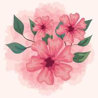 flowers pink color with branches and leaves, on white background vector