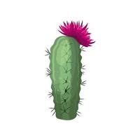 cactus flower cartoon vector illustration