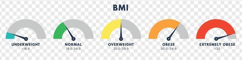 índice de masa corporal o escala de índice de masa. tipos de bmi.concepto de pérdida de peso. ilustración vectorial aislada vector