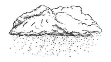 Cloud With Falling Snowflakes Monochrome Vector