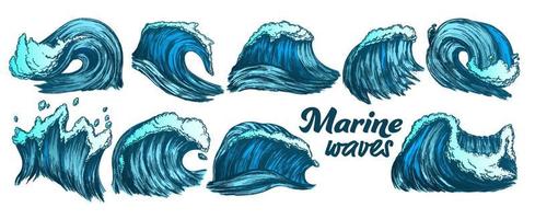 Color Sketch Splash Marine Wave Set Vector