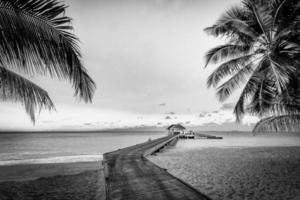 Black and white wooden bridge into paradise island. Tropical coast landscape, palm trees white sand exotic lagoon sea bay in dramatic monochrome. Tranquil travel background, minimal dark toned style photo