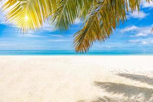 cielo de arena marina y naturaleza tropical como concepto de fondo de playa. paisaje tranquilo de playa, banner de concepto de isla paradisíaca. naturaleza exótica, hojas de palma con cielo azul, estado de ánimo soleado de verano usa banner de vacaciones foto