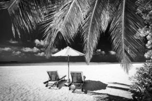 Black and white view of beautiful beach with palm tree leaves, dramatic dark sky white soft sand. Exotic monochrome panorama. Couple meditation inspiration landscape, paradise beach tranquil minimal photo