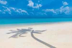 Coco palm shadow on white sand tropical beach. Coco palm shadow on white sand tropical beach. Idyllic summer banner template photo