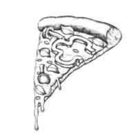 rebanada de pizza italiana vegetariana vector dibujado a mano