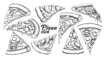 Assortment Different Slice Pizza Set Ink Vector