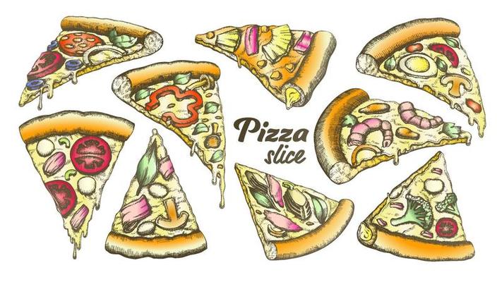 Color Assortment Different Slice Pizza Set Ink Vector