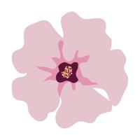 cute flower pink color, on white background vector