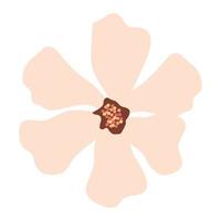 cute flower nature, on white background vector