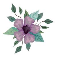 flower lilac color with branches and leaves, on white background vector