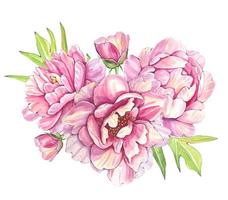 ramo dibujado a mano de peonías rosas, ilustración acuarela vector