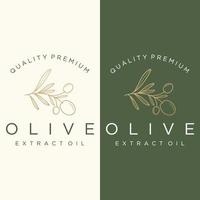 plantilla de logotipo botánico dibujada a mano hoja de olivo natural y fruta .herbal, aceite de oliva, cosmética o belleza. vector