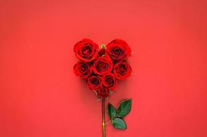 rosas rojas con tallo y hojas puestas como forma de amor sobre fondo rojo para un concepto mínimo del día de san valentín. foto