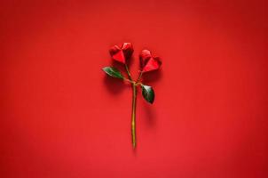 Two paper fold in love shape on rose stalk with leaves put on red background for Minimal Valentines concept. photo